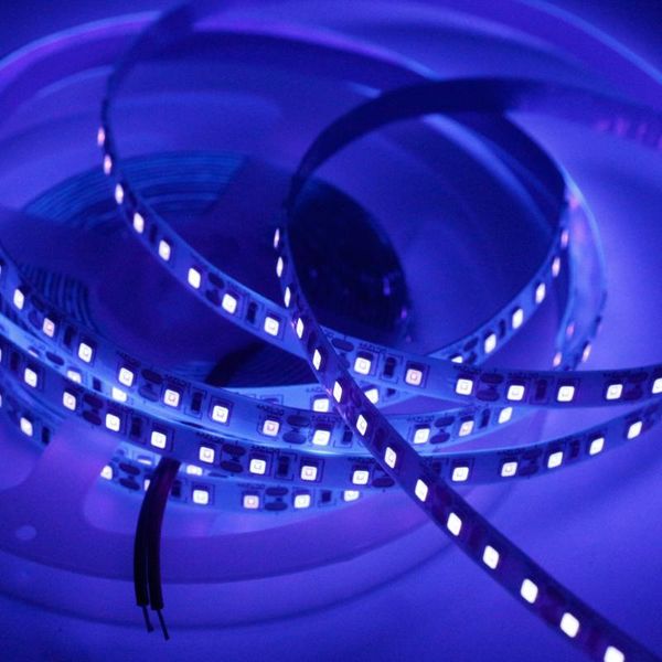 strips 1m 2m 5m uv led strip light 395-405nm ultraviolet 2835 smd 120led/m flexible fluorescent detection violet lure lamp decor
strips 1m 2m 5m uv led strip light 395-405nm ultraviolet 2835 smd 120led/m flexible fluorescent detection violet lure lamp decor