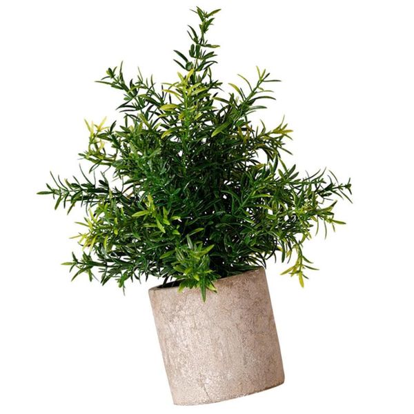 decorative flowers & wreaths 1pc plastic flowerpot bonsai deskdecor for study office dorm
decorative flowers & wreaths 1pc plastic flowerpot bonsai deskdecor for study office dorm