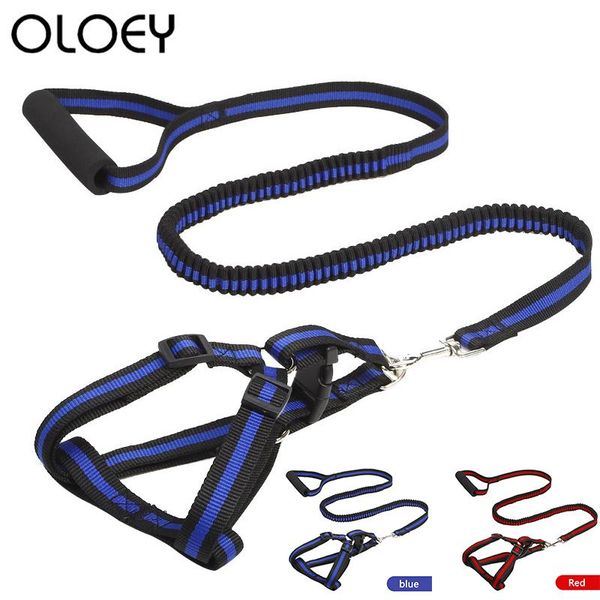 dog collars & leashes running bungee leash hand-held adjustable nylon elastic retractable leads for jogging walking
dog collars & leashes running bungee leash hand-held adjustable nylon elastic retractable leads for jogging walking