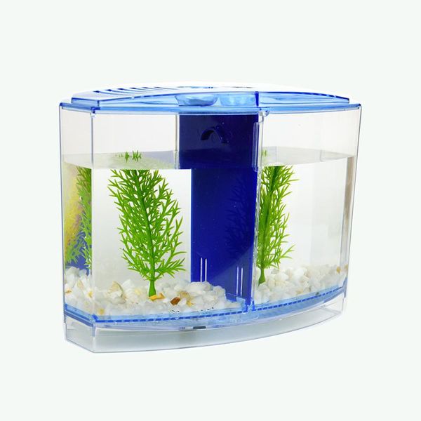 aquariums led light aquarium acrylic three splits betta fish tank triple bow fighting isolation hatch breed box blue purple
aquariums led light aquarium acrylic three splits betta fish tank triple bow fighting isolation hatch breed box blue purple