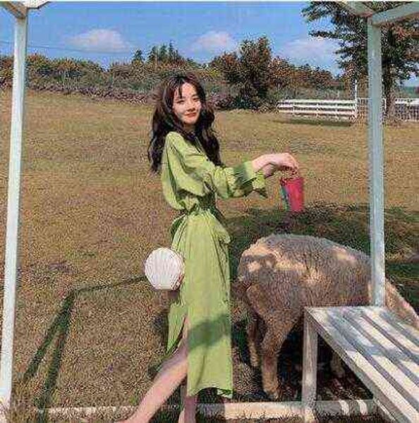 casual dresses avocado green dr's 2022 spring and autumn chiffon fairy super sen net red shirt skirt, Black;gray
casual dresses avocado green dr's 2022 spring and autumn chiffon fairy super sen net red shirt skirt, Black;gray