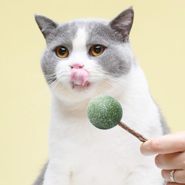 cat toys natural actinidia polygama catnip lollipop shape pet molar teeth toy catmint kitten kedi gift products
cat toys natural actinidia polygama catnip lollipop shape pet molar teeth toy catmint kitten kedi gift products