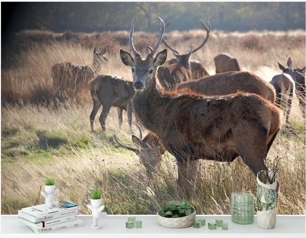 wallpapers wdbh custom po 3d wallpaper african savannah elk landscape home decor living room wall murals for walls 3 d
wallpapers wdbh custom po 3d wallpaper african savannah elk landscape home decor living room wall murals for walls 3 d