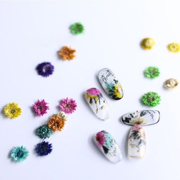 decorative flowers & wreaths 10pcs/box exquisite nail dried flower small chrysanthemum pressed embossed petal natural material
decorative flowers & wreaths 10pcs/box exquisite nail dried flower small chrysanthemum pressed embossed petal natural material