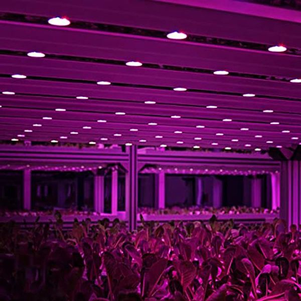 -led grow light 120 degree e27 full spectrum plant lamp for flower hydroponic seed organic plants 6pcs lights
-led grow light 120 degree e27 full spectrum plant lamp for flower hydroponic seed organic plants 6pcs lights