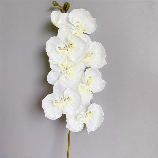 decorative flowers & wreaths 4pcs white orchid branch silk artificial for wedding party decor orchids flores
decorative flowers & wreaths 4pcs white orchid branch silk artificial for wedding party decor orchids flores