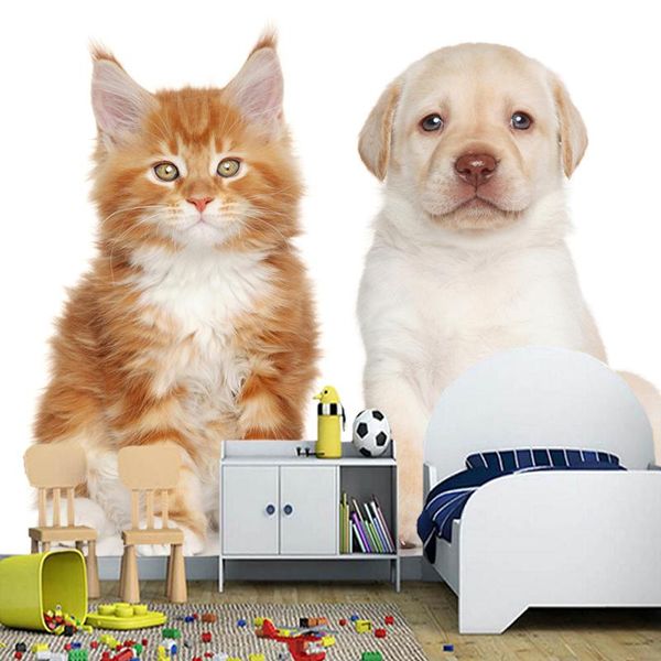 wallpapers customized papel de parede infantil,dogs cats animals murals for living room bedroom sofa background decorative waterproof paper
wallpapers customized papel de parede infantil,dogs cats animals murals for living room bedroom sofa background decorative waterproof paper