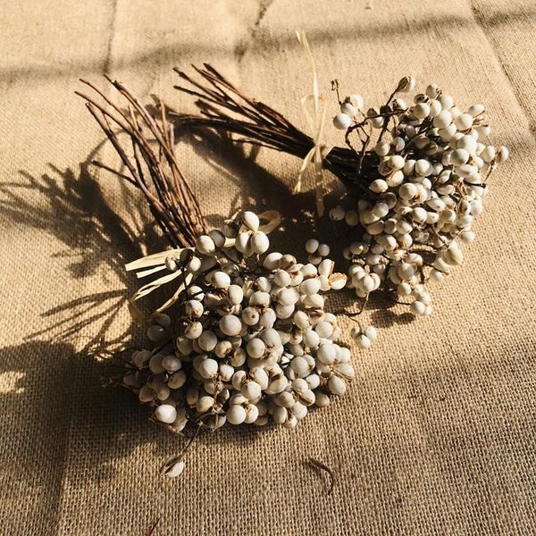 decorative flowers & wreaths natural small white fruit ginkgo flower dry branches preserve diy material bouquet wedding decoration shooting
decorative flowers & wreaths natural small white fruit ginkgo flower dry branches preserve diy material bouquet wedding decoration shooting