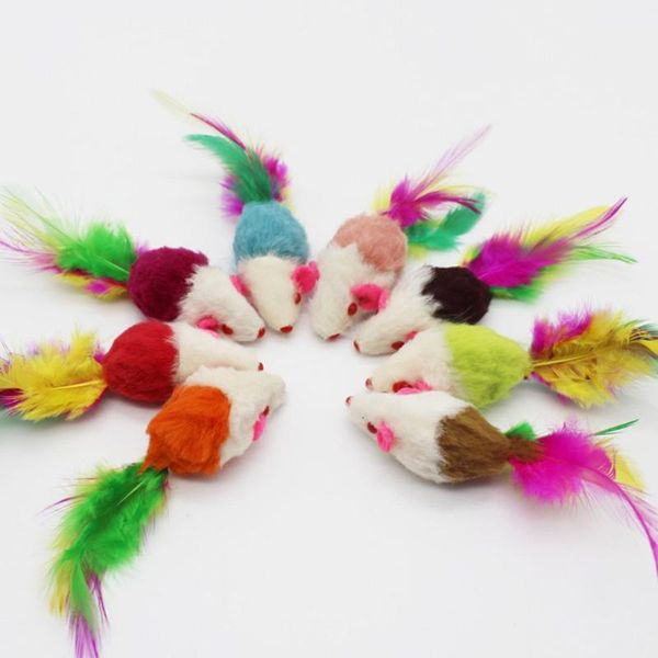 cat toys 1pcs pet false mouse mini funny playing for cats with colorful feather plush supplies
cat toys 1pcs pet false mouse mini funny playing for cats with colorful feather plush supplies