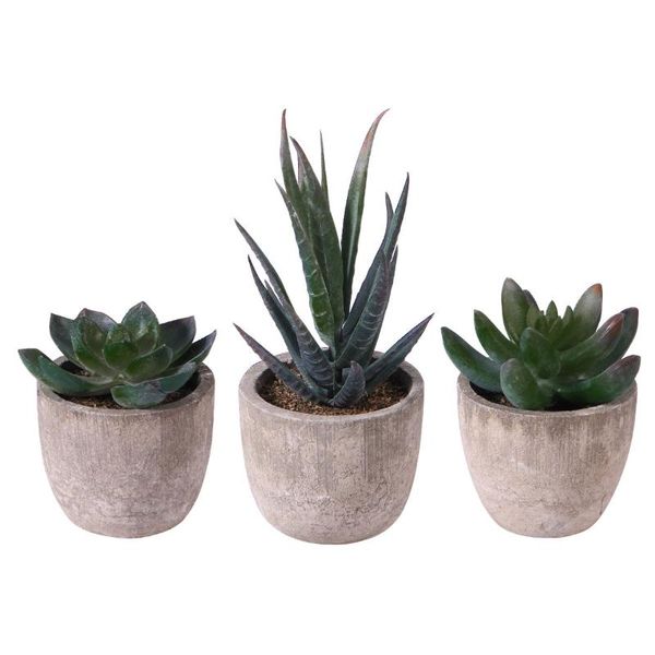 decorative flowers & wreaths ounona 3pcs faux succulent artificial fake simulation plants with pots
decorative flowers & wreaths ounona 3pcs faux succulent artificial fake simulation plants with pots