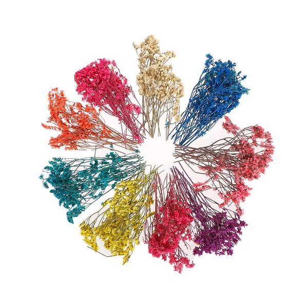 home office decor party natural dried babysbreath flowers crystal grass pressed emulation blossom
home office decor party natural dried babysbreath flowers crystal grass pressed emulation blossom
