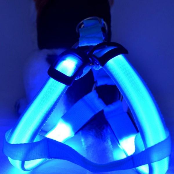 dog collars & leashes pet cat harness led flashing light collar safety leash rope belt accessories
dog collars & leashes pet cat harness led flashing light collar safety leash rope belt accessories