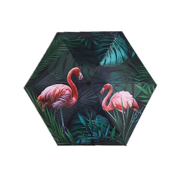 umbrellas flamingo fashion folding umbrella rain women sunscreen defence ultraviolet rays sunshade portable travel windproof parasol
umbrellas flamingo fashion folding umbrella rain women sunscreen defence ultraviolet rays sunshade portable travel windproof parasol