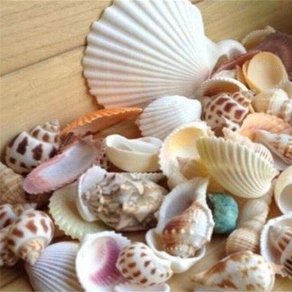 decorations 100g /bag beach seashells mix sea shells shell craft seashell aquarium nautical decor
decorations 100g /bag beach seashells mix sea shells shell craft seashell aquarium nautical decor