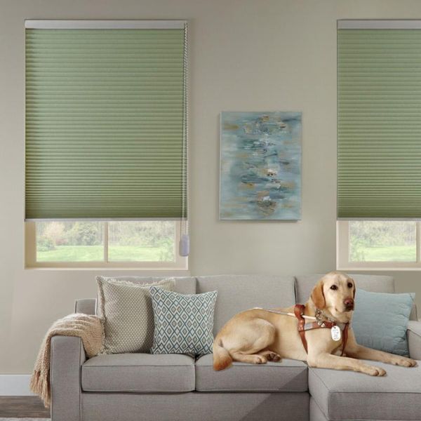 blinds cyan-blue full shading,noise reduction,insulated honeycomb roller window
blinds cyan-blue full shading,noise reduction,insulated honeycomb roller window