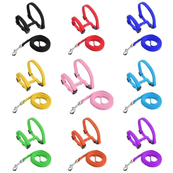 cat collars & leads accessories nylon harness and leash set pet products for animals adjustable puppy dog traction belt mascotas
cat collars & leads accessories nylon harness and leash set pet products for animals adjustable puppy dog traction belt mascotas