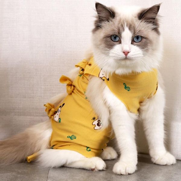 cat costumes puppy vest clothing post-operative weaning clothes printing breathable physiological pets prevent licking s-l
cat costumes puppy vest clothing post-operative weaning clothes printing breathable physiological pets prevent licking s-l