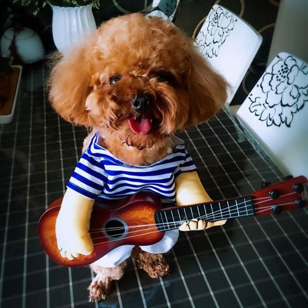 dog apparel halloween puppy clothes carrying guitar cute clothing for small dogs cats party cosplay costume decor
dog apparel halloween puppy clothes carrying guitar cute clothing for small dogs cats party cosplay costume decor