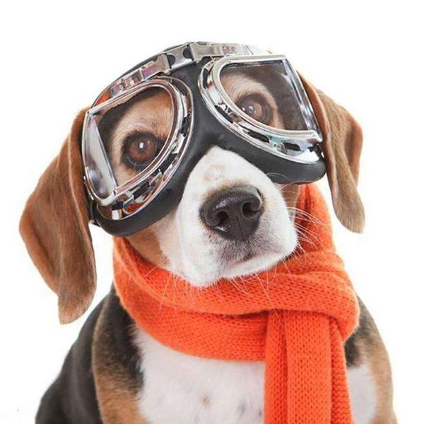 dog apparel fashion large sunglasses for pet cat outdoor wear pograph prop glasses plastic
dog apparel fashion large sunglasses for pet cat outdoor wear pograph prop glasses plastic