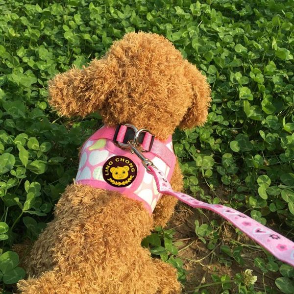 dog collars & leashes pet harness and leash adjustable breathable traction love printing chest strap with dogs basic halter harnesses
dog collars & leashes pet harness and leash adjustable breathable traction love printing chest strap with dogs basic halter harnesses