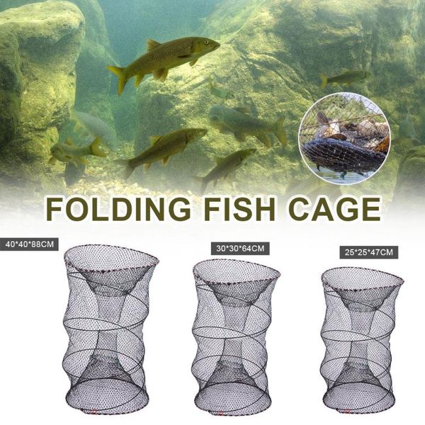 fishing net cage folding round metal frame nylon mesh crab crawdad shrimp minnow bait trap cast fish net fishing landing tackle
fishing net cage folding round metal frame nylon mesh crab crawdad shrimp minnow bait trap cast fish net fishing landing tackle