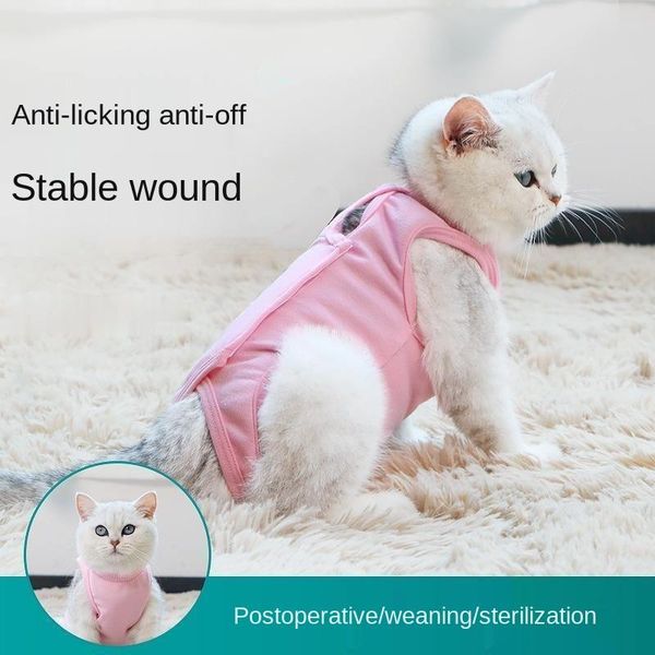 cat wound recovery suit for abdominal wounds or skin diseases after wear pajama suit cat accessories
cat wound recovery suit for abdominal wounds or skin diseases after wear pajama suit cat accessories