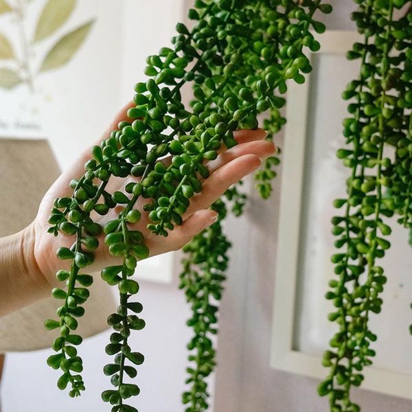72cm l wall hanging artificial plant string soft home decor office flexible party supplies plastic simulation succulents
72cm l wall hanging artificial plant string soft home decor office flexible party supplies plastic simulation succulents
