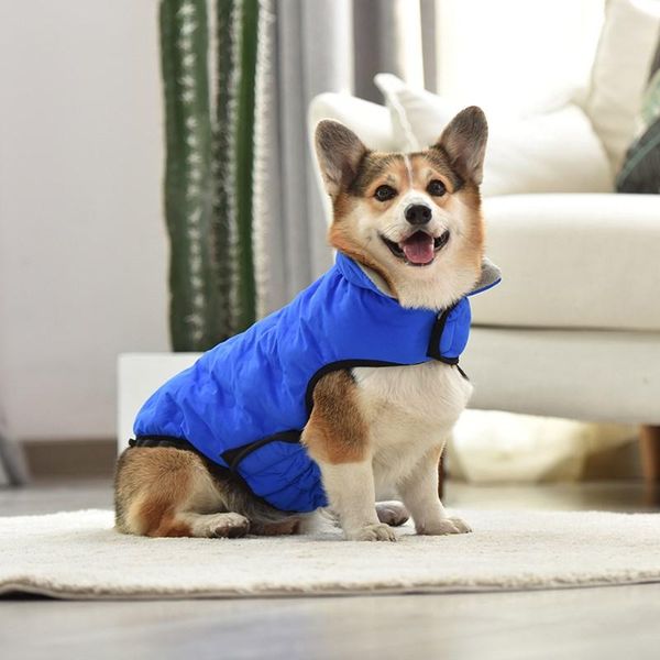 dog apparel winter warm and comfortable pet clothes stylish adjustable cotton jacket suitable for chihuahuas small medium-sized dogs
dog apparel winter warm and comfortable pet clothes stylish adjustable cotton jacket suitable for chihuahuas small medium-sized dogs