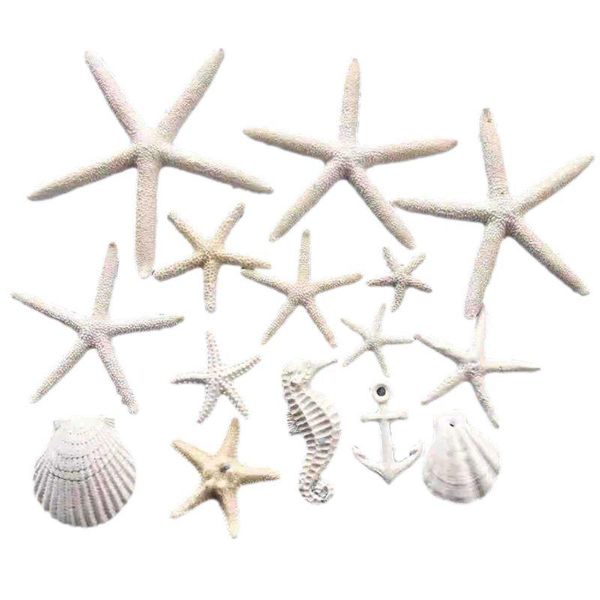 decorations white starfish aquarium fish tank ornament decoration sand dollars mixed ocean x7je
decorations white starfish aquarium fish tank ornament decoration sand dollars mixed ocean x7je
