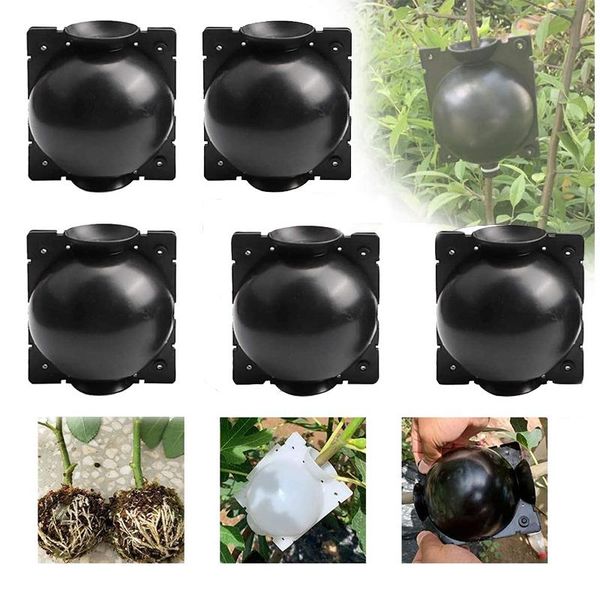 planters & pots 5pcs reusable plant rooting device asexual reproduction high pressure propagation ball rooter box grafting 
planters & pots 5pcs reusable plant rooting device asexual reproduction high pressure propagation ball rooter box grafting