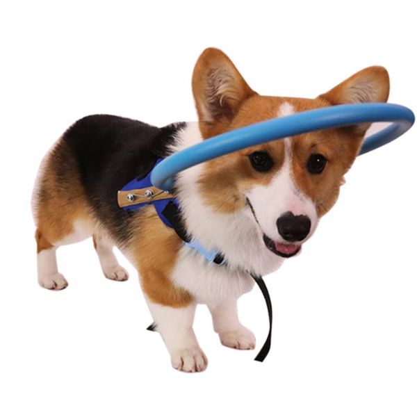 dog collars & leashes animal protection circle guide blind pet anti-collision ring harness for small puppy dogs xs-m
dog collars & leashes animal protection circle guide blind pet anti-collision ring harness for small puppy dogs xs-m