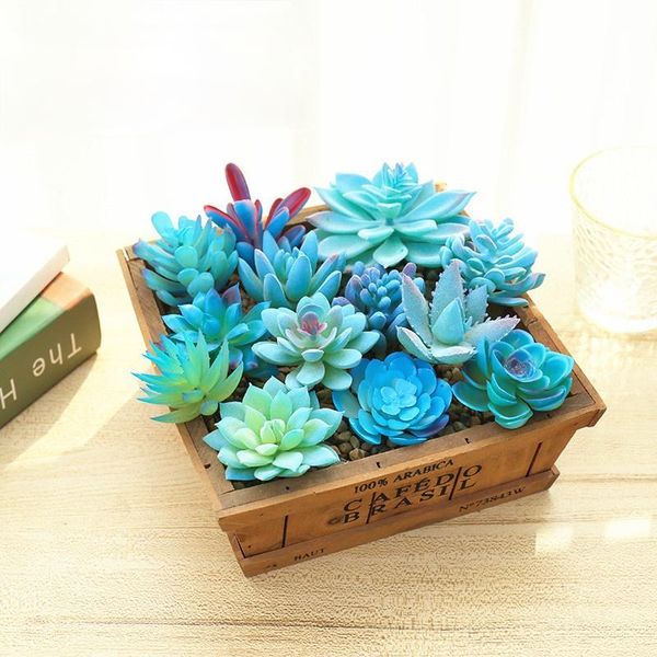 decorative flowers & wreaths blue succulent fake plants artificial living room decoration
decorative flowers & wreaths blue succulent fake plants artificial living room decoration