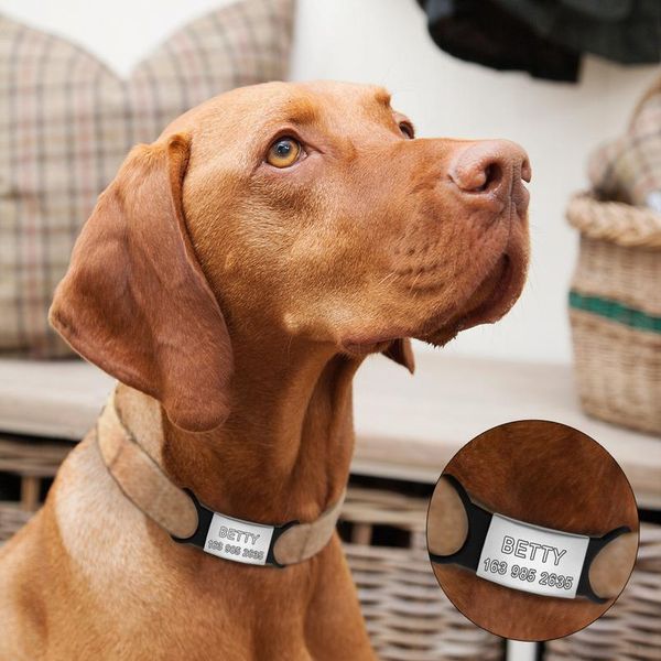 stainless steel personalized dog cat id tag customized engraved pet nameplate tags with tensile rubber for pets coll qylhtj
stainless steel personalized dog cat id tag customized engraved pet nameplate tags with tensile rubber for pets coll qylhtj
