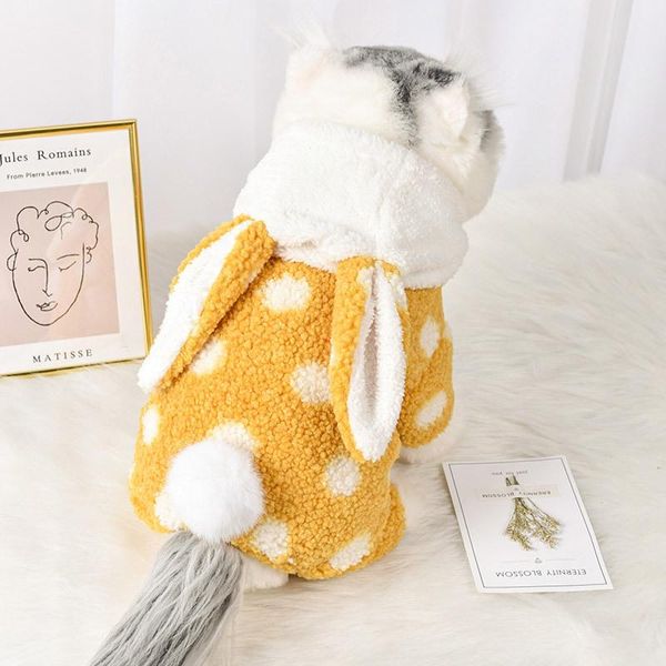dog apparel jumpsuit ears clothes velvet dot dogs clothing for medium puppy winter autumn sweater pet accessories
dog apparel jumpsuit ears clothes velvet dot dogs clothing for medium puppy winter autumn sweater pet accessories