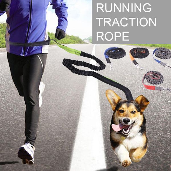 dog collars & leashes night reflective elastic nylon breakaway running hand waist belt jogging leads retractable leash for small pet do
dog collars & leashes night reflective elastic nylon breakaway running hand waist belt jogging leads retractable leash for small pet do