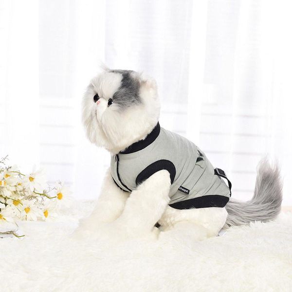 new dog's four legged clothes pet clothing warm knitted stripes teddy bear vip bullfighting home wear thickened cat jackets coat
new dog's four legged clothes pet clothing warm knitted stripes teddy bear vip bullfighting home wear thickened cat jackets coat