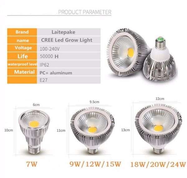 light special customized spectrum laboratorybulb indoor plant full lamp bulb kit white lighting grow lights
light special customized spectrum laboratorybulb indoor plant full lamp bulb kit white lighting grow lights