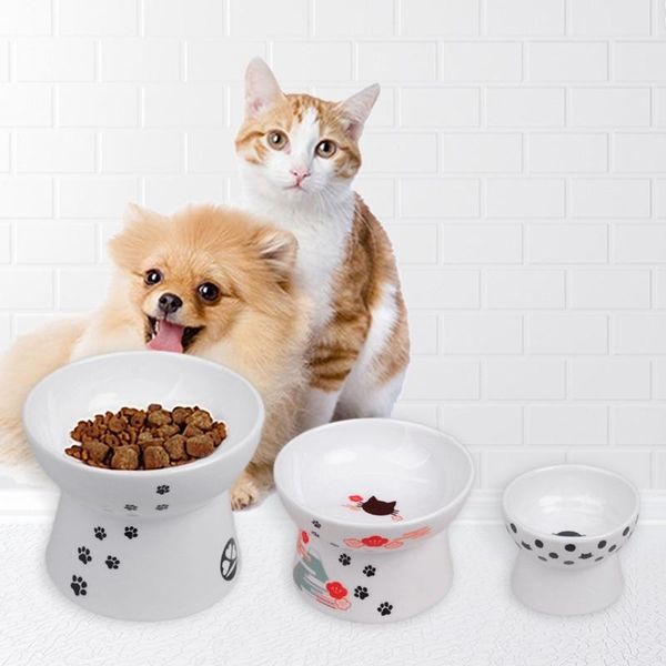 cat bowls & feeders ceramic pet bowl for non-slip food drinking feeder high foot protection cats and dogs
cat bowls & feeders ceramic pet bowl for non-slip food drinking feeder high foot protection cats and dogs