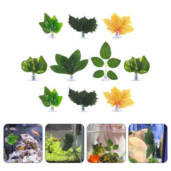 decorations 10pcs betta fish leaf pads tank decor artificial leaves plants mixed style
decorations 10pcs betta fish leaf pads tank decor artificial leaves plants mixed style