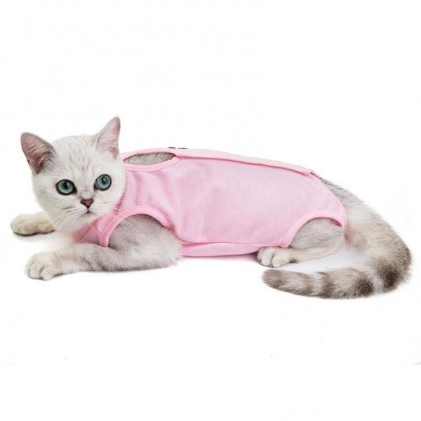 cat costumes kitten sterilization vest clothes anti-licking weaning romper pet supplies
cat costumes kitten sterilization vest clothes anti-licking weaning romper pet supplies