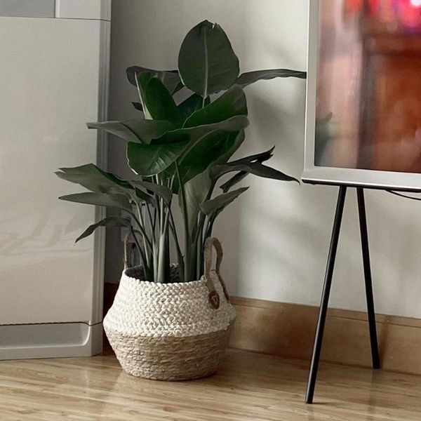 storage baskets comfortable lightweight seagrass folding large-capacity clothes basket for bathroom
storage baskets comfortable lightweight seagrass folding large-capacity clothes basket for bathroom