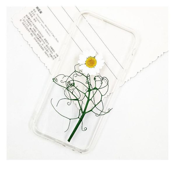 16pcs,natural pressed eternal flowers pea seedlings,diy wedding invitation craft gift bookmark decoration,scented candle decor qylrny
16pcs,natural pressed eternal flowers pea seedlings,diy wedding invitation craft gift bookmark decoration,scented candle decor qylrny