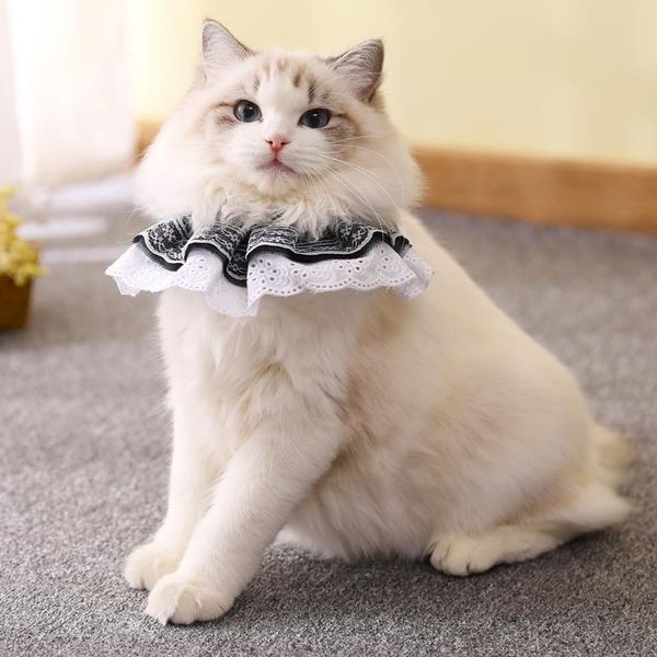 beautiful pet cat dog collar lace bibs with small bells puppy kitten hollow out neckerchief pet supplies
beautiful pet cat dog collar lace bibs with small bells puppy kitten hollow out neckerchief pet supplies