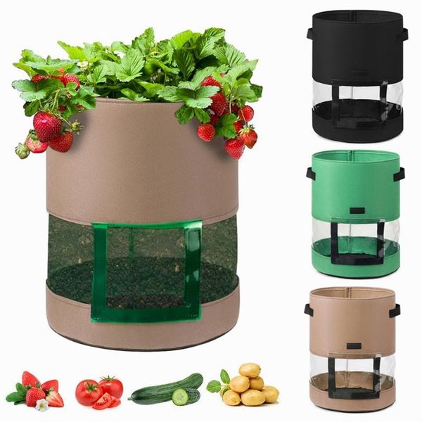 planters & pots 7/10 gallon potato plant growth bag outdoor garden greenhouse strawberry vegetable nursery pot
planters & pots 7/10 gallon potato plant growth bag outdoor garden greenhouse strawberry vegetable nursery pot