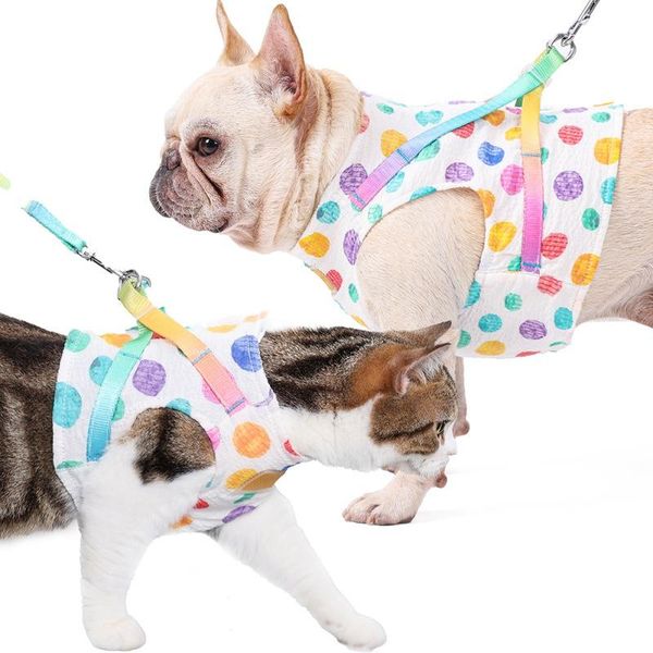 dog collars & leashes comfortable pet rainbow wave point harnesses back pull rope chest small and medium cat vest walking set
dog collars & leashes comfortable pet rainbow wave point harnesses back pull rope chest small and medium cat vest walking set