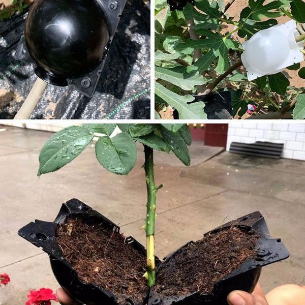 planters & pots 5pcs plant rooting ball grafting growing box breeding case high-pressure root for garden
planters & pots 5pcs plant rooting ball grafting growing box breeding case high-pressure root for garden