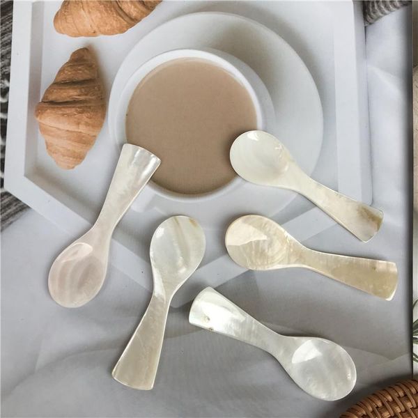 spoons spoon conch shells individuality creative el restaurant tableware european sweet honey seasoning salt scoop of ice cream
spoons spoon conch shells individuality creative el restaurant tableware european sweet honey seasoning salt scoop of ice cream