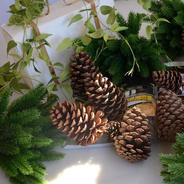 simulation plant 6-pronged pine needle grass christmas home grass christmas pgraphy flower wreath d window props arrang q3l0
simulation plant 6-pronged pine needle grass christmas home grass christmas pgraphy flower wreath d window props arrang q3l0