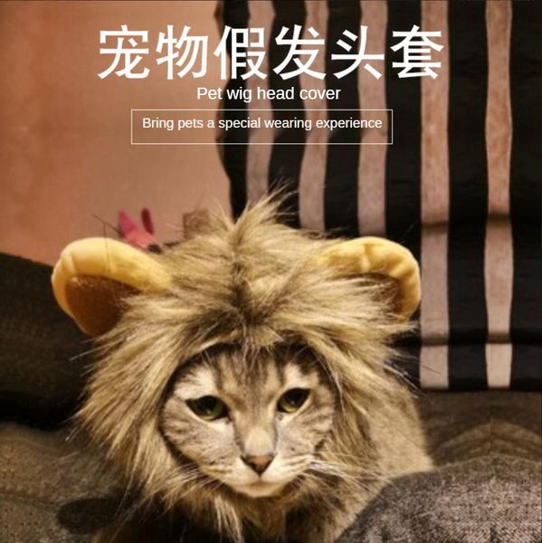 cat costumes pet transformation headgear lion hat cute decoration accessories headdress wig funny 
cat costumes pet transformation headgear lion hat cute decoration accessories headdress wig funny
