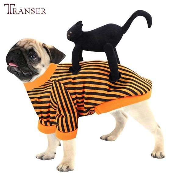 dog apparel transer funny black cat riding pet cosplay costume round neck striped shirt coat clothes for halloween party 209
dog apparel transer funny black cat riding pet cosplay costume round neck striped shirt coat clothes for halloween party 209